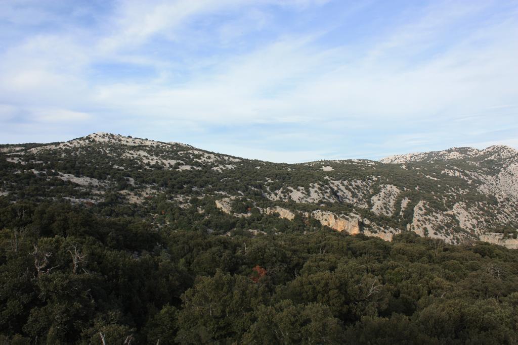 B&B Supramonte Orgosolo Buitenkant foto